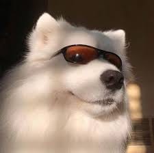 Fitri Handayani avatar